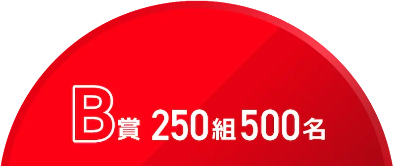 B賞 250組 500名