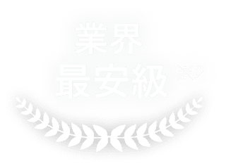 業界最安級 ※2