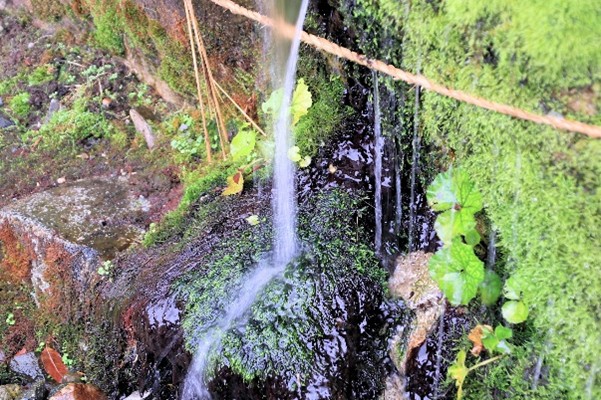 943163758a3c8d6878c7d59bd3c1f5c7