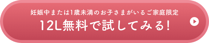 12L無料で試してみる