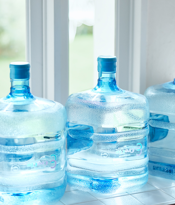 #01 500mlあたり66円 業界最安級