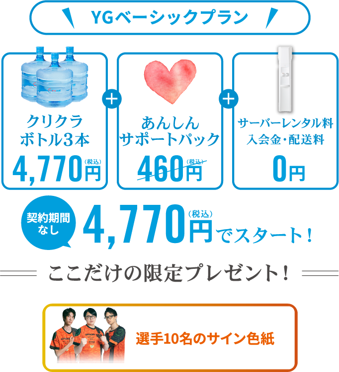 YGベーシックプラン