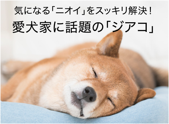 やるなあ、ジアコ！愛犬家に話題の「ジアコ」って？