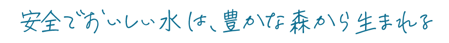 安全でおいしい水は、豊かな森から生まれる